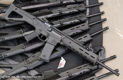 Bushmaster ACR in Stock